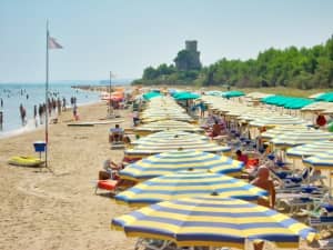 Med Resort