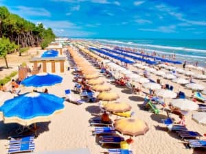 Med Resort