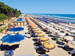 Med Resort