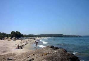 Neptune Luxury Resort