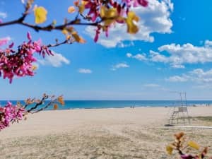 Kaliakra Beach