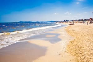 Ricchi