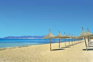 Sol Palmanova