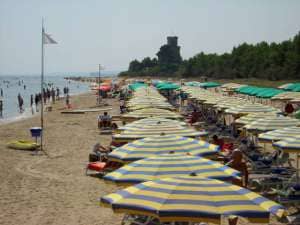Med Resort
