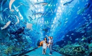 Dubai Marine Beach Resort & SPA