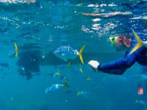Oceanic Khorfakkan Resort & SPA