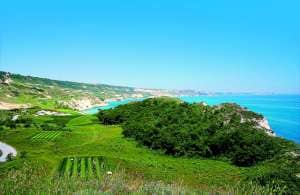 Royal Bay Resort & Aqua Park