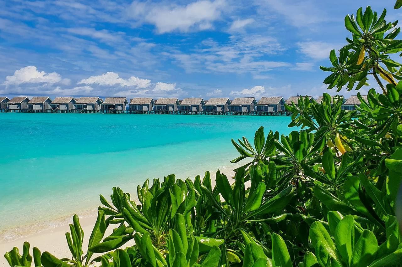 Kuramathi Island Resort