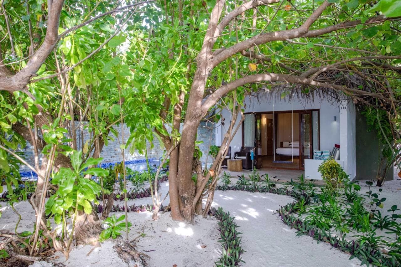 Cocoon Maldives