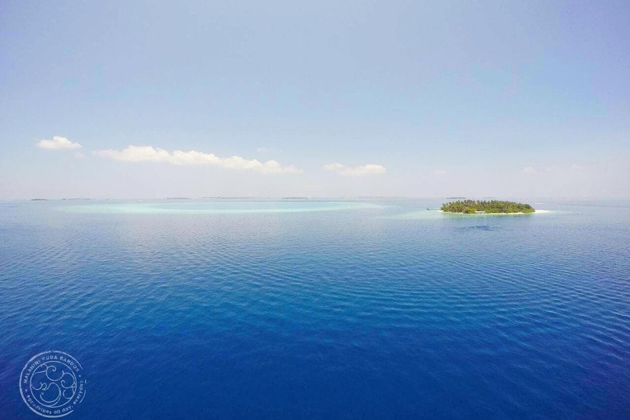 Malahini Kuda Bandos