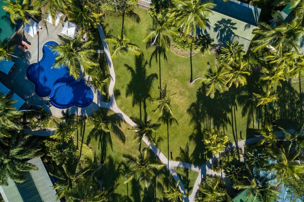 Paradise Sun-13