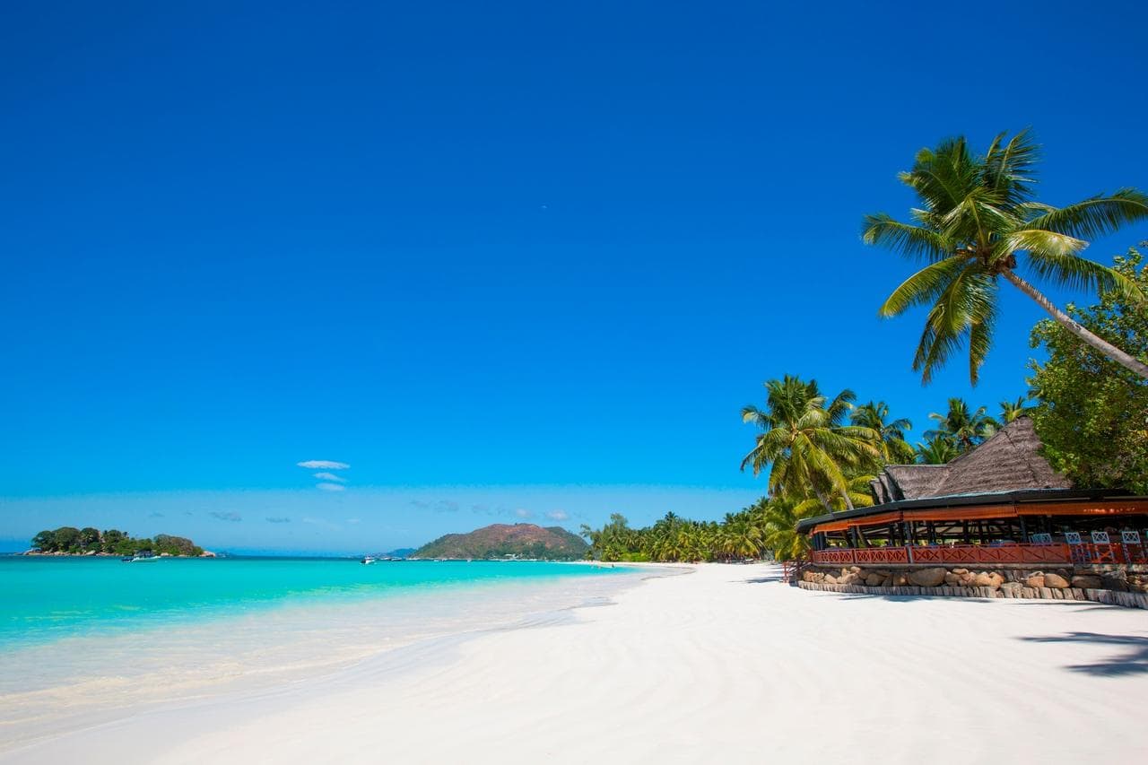 Paradise Sun-2