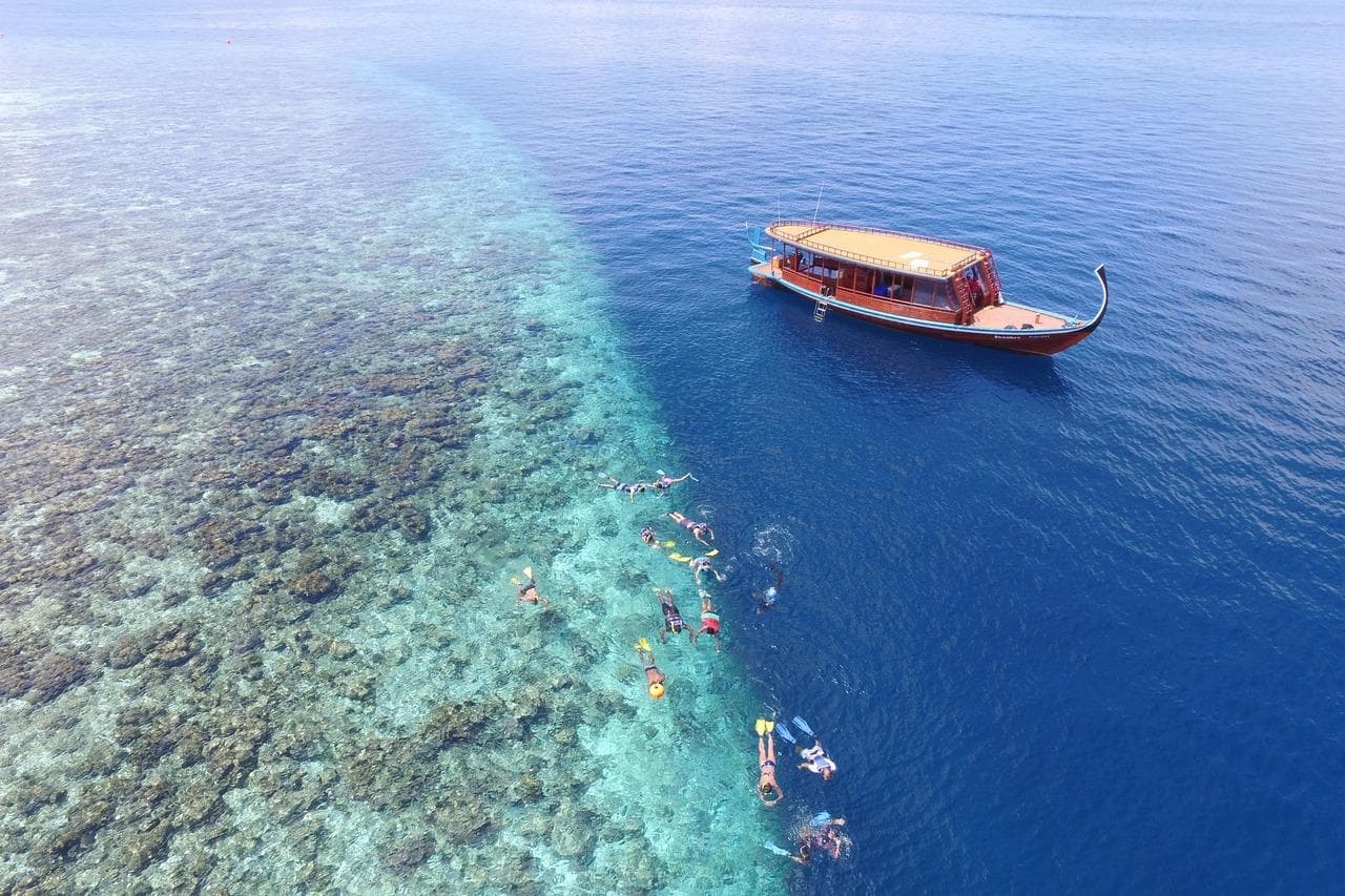 Cocoon Maldives