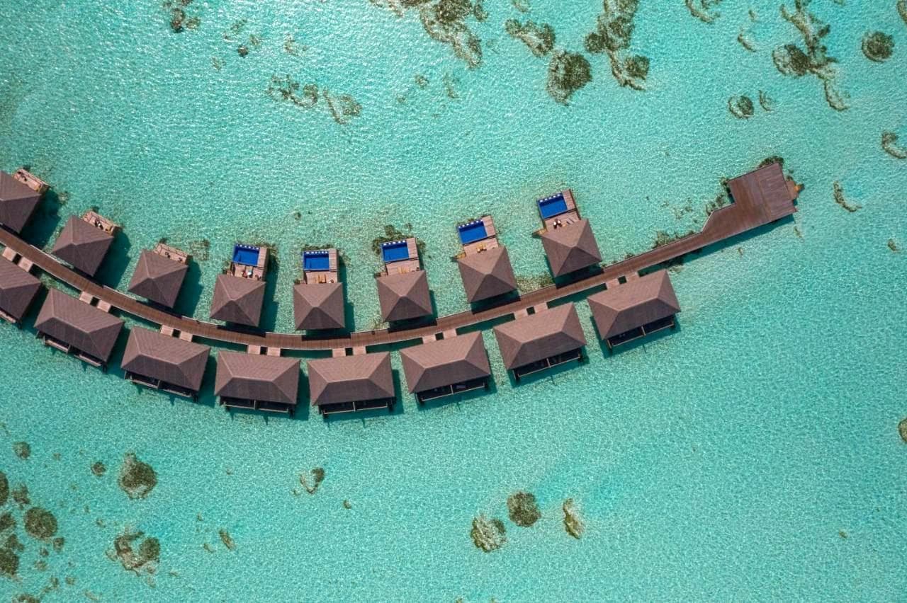 Cocoon Maldives