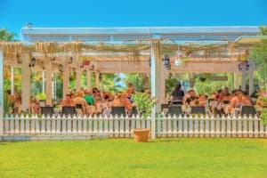 Süral Resort Alexandria Club